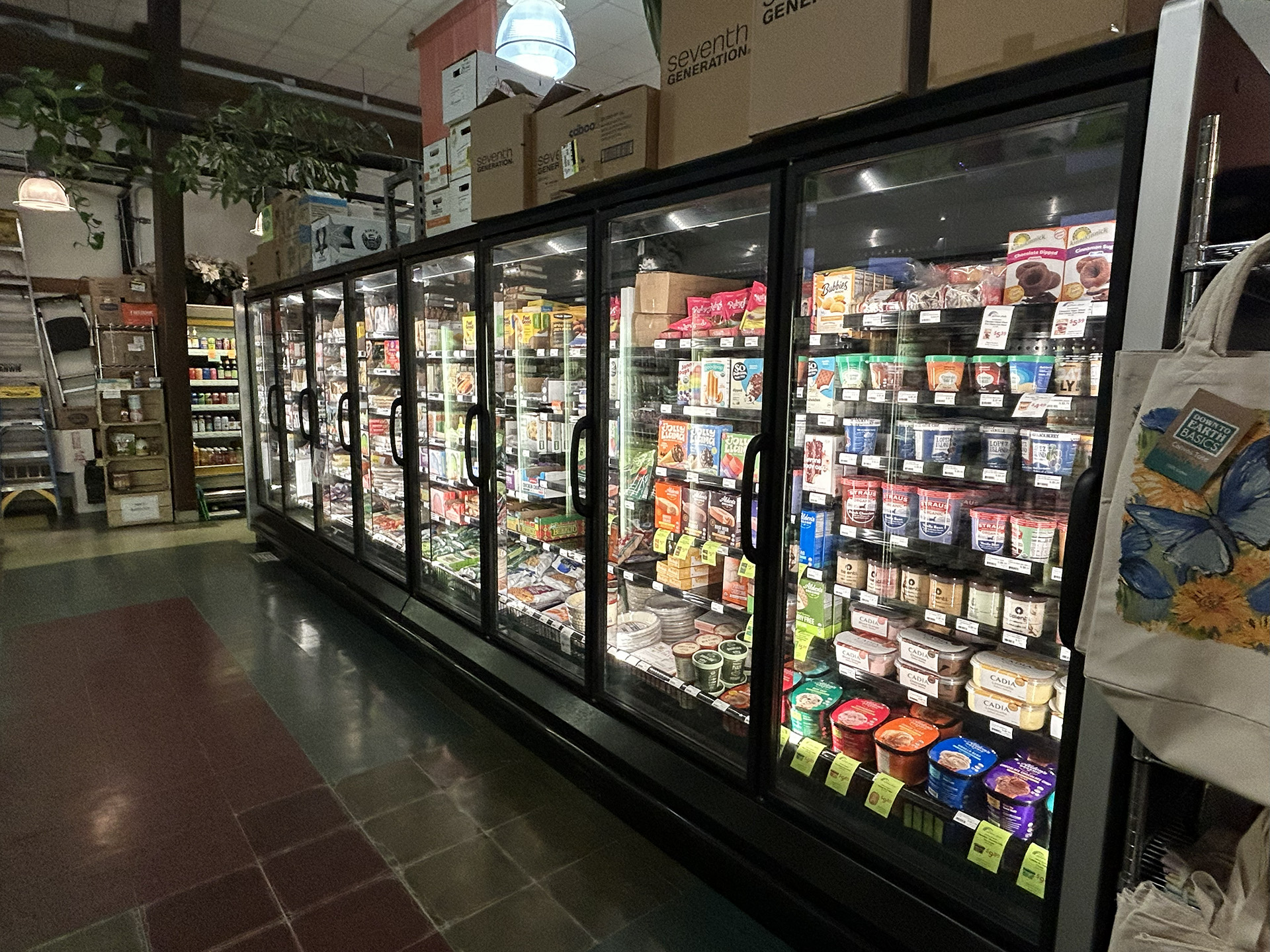 store interior: frozen food
